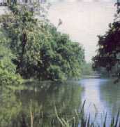 Lake on common